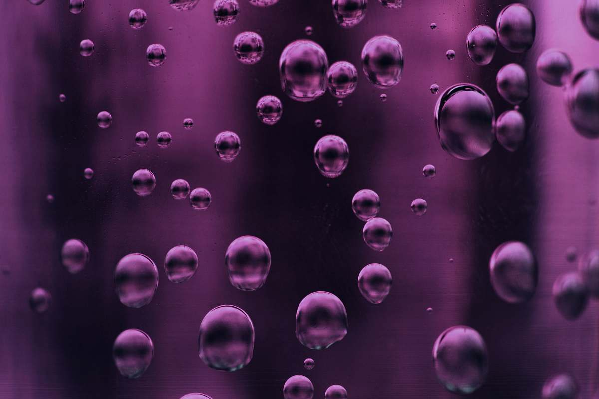 purple purple bubbles on liquid animal